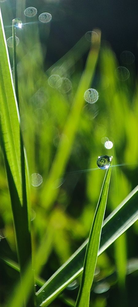 Photograph by Sankar P