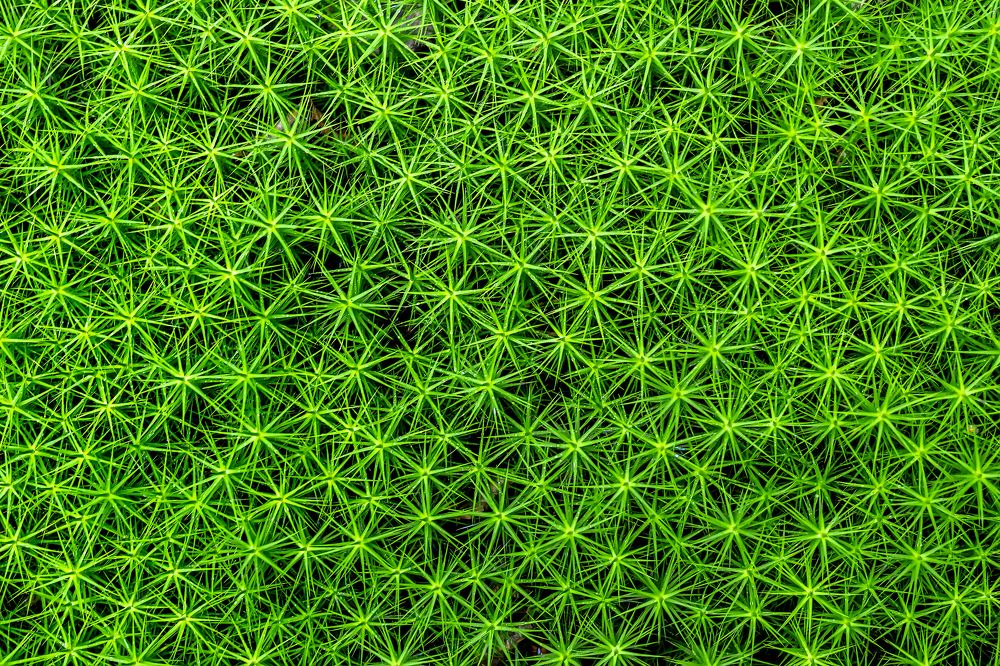 Photograph by Алексей Фрилунд