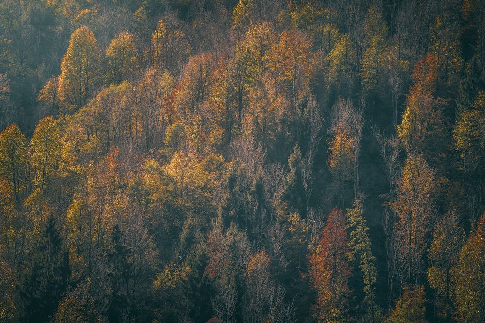 Photograph by Luca Menotti