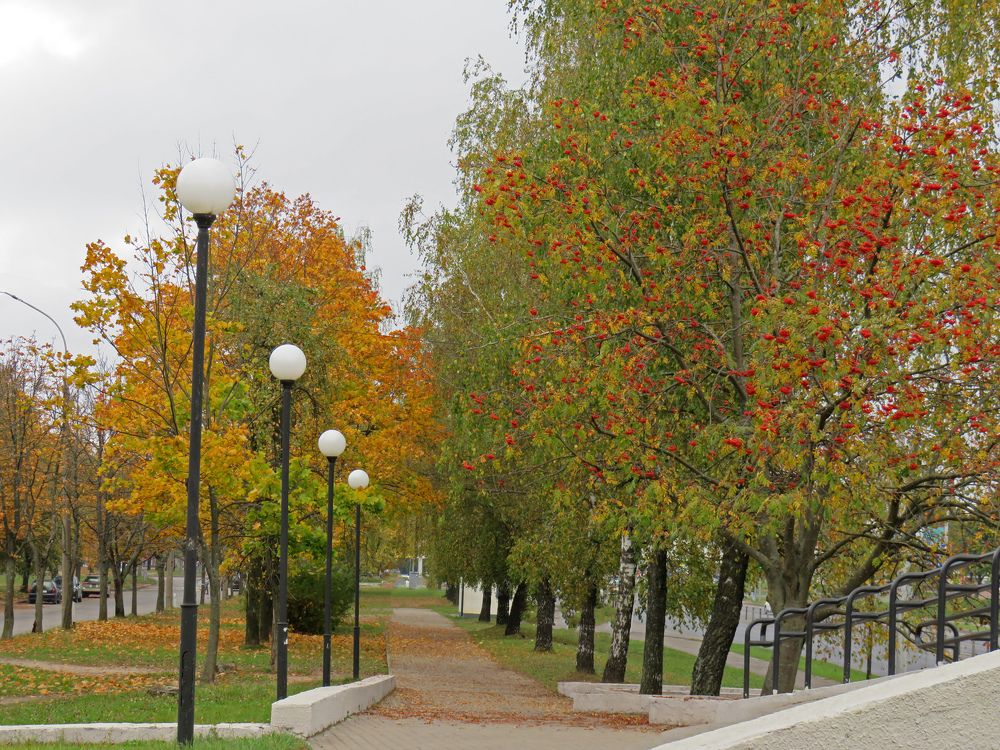 Autumn street in Mogilev