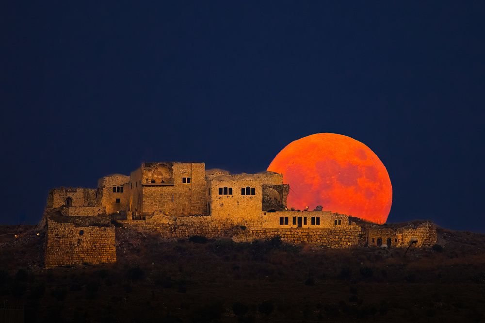 Photograph by Elena Levi