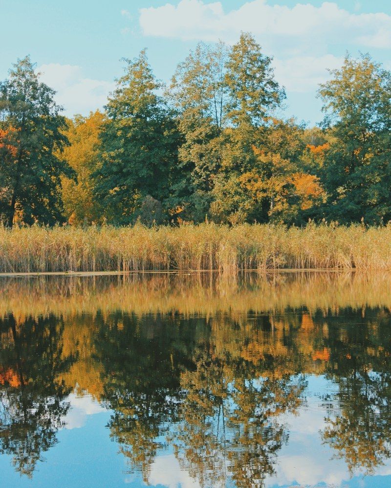 Photograph by Татьяна Конаева