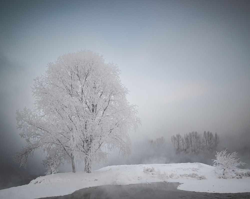 Фотография автора NIKOLAY KALININ