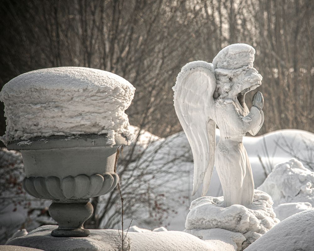 Фотография автора NIKOLAY KALININ