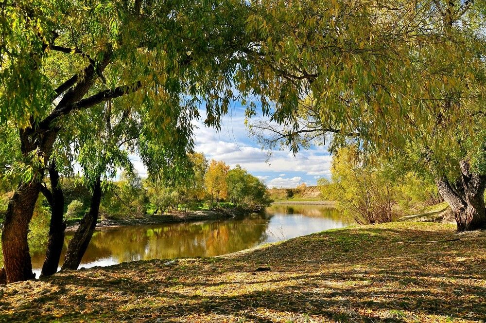 Краски осени