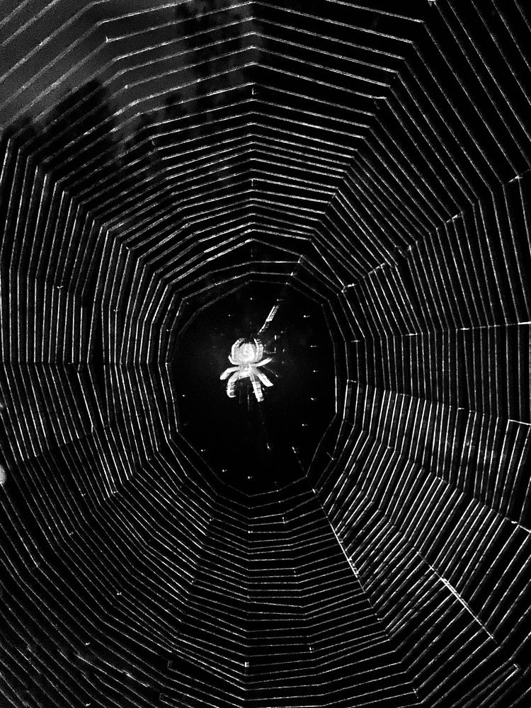 Фотография автора ГУЗАЛИЯ ГАНИЕВА