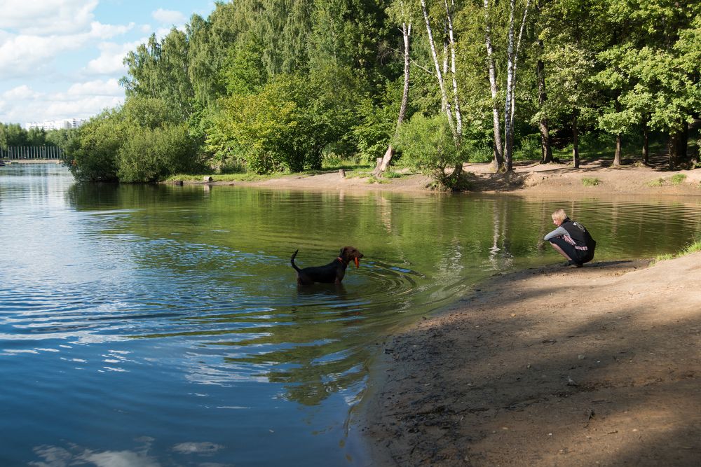 Photograph by Светлана Зайкова