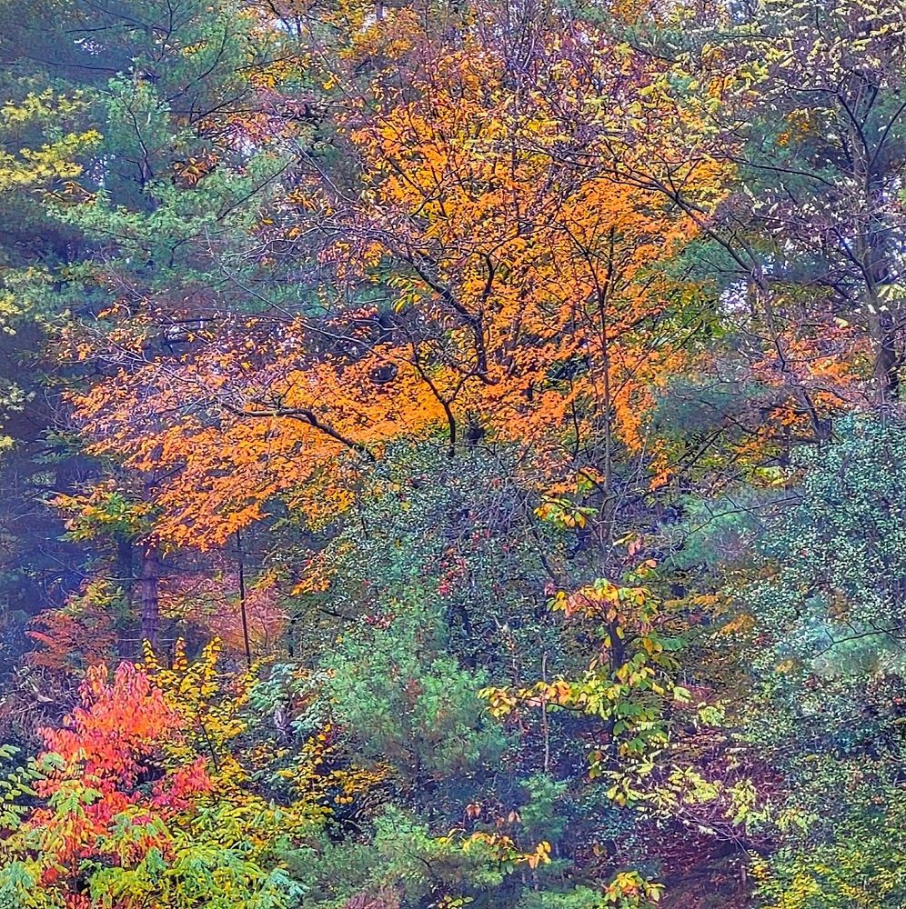 Photograph by Catherine