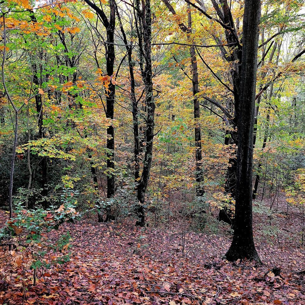 Photograph by Catherine