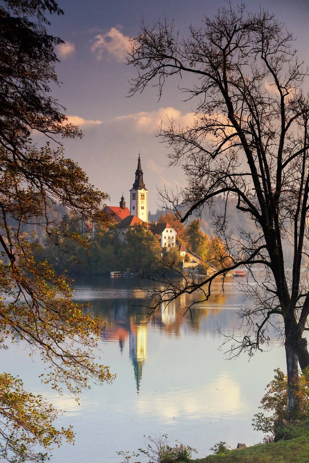 Фотография #9572804