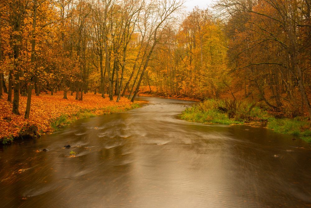 Фотография автора Aлексей Игнатьев