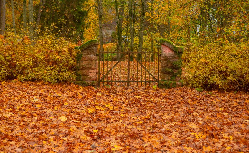 Фотография автора Aлексей Игнатьев