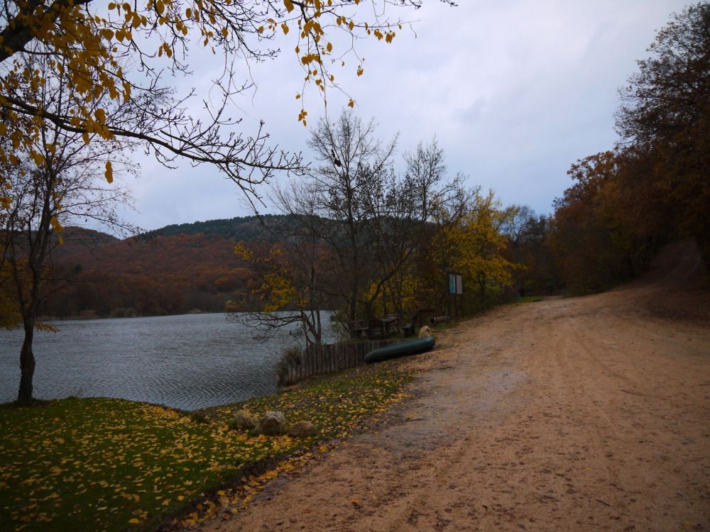 Photograph by Екатерина Игоревна