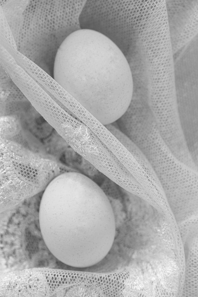 Photograph by Елена Пасажицкая