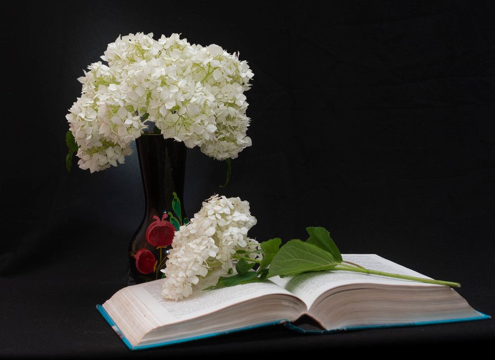 Фотография автора Aлексей Игнатьев