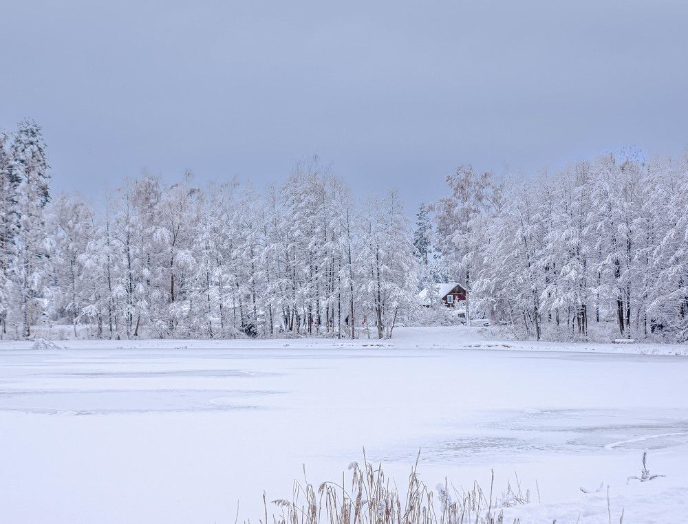 Фотография автора Aлексей Игнатьев