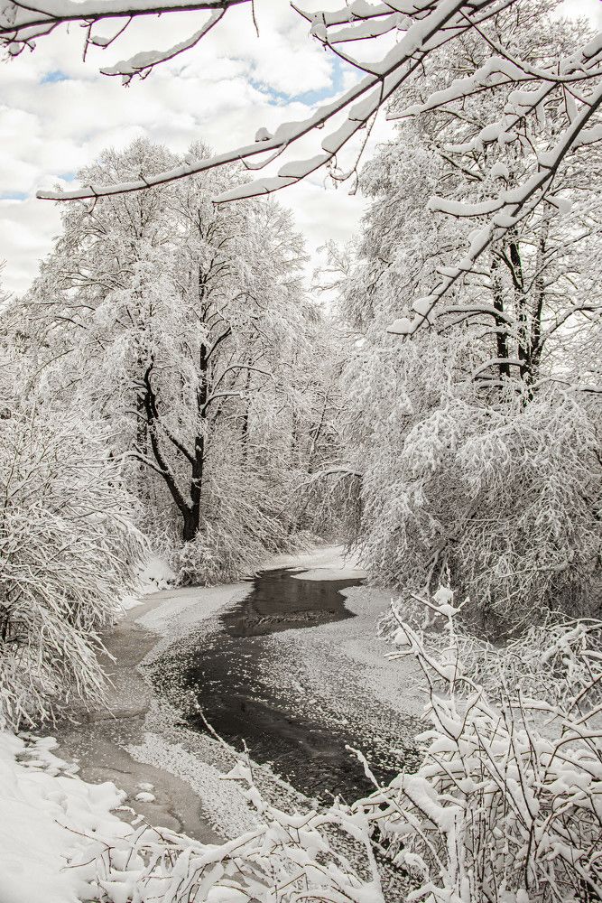 Фотография автора Aлексей Игнатьев