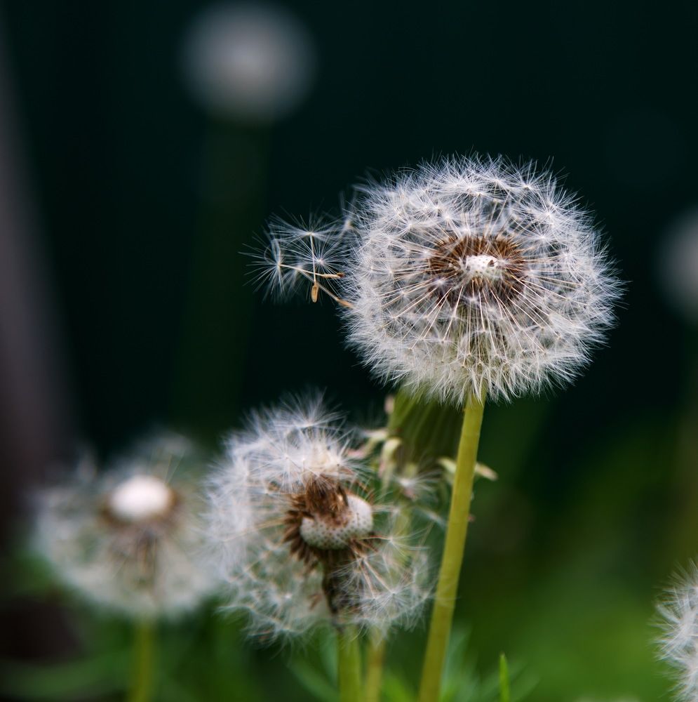 Photograph by Алексей Хазов