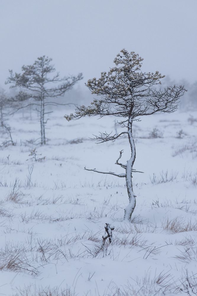 Photograph by Elena Levi