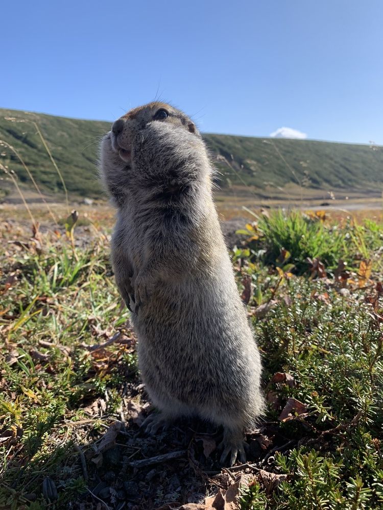 Photograph by Джамиля Ремизова