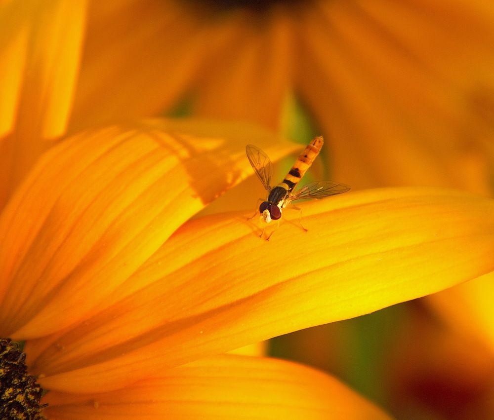 Photograph by Алексей Хазов