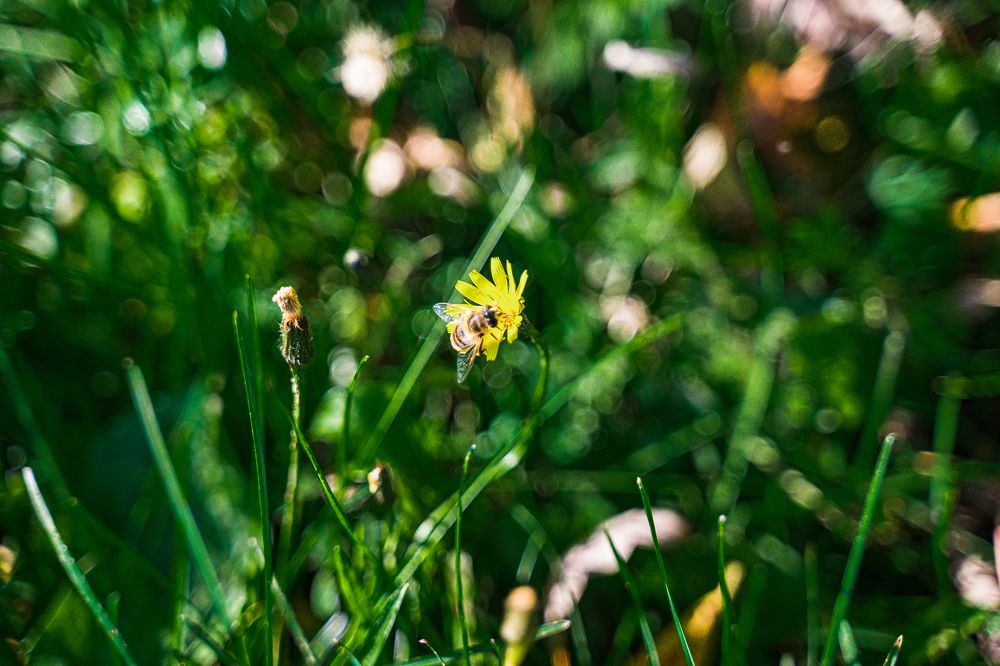 Photograph by Артём Александрович
