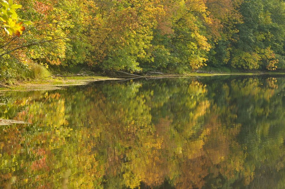 Photograph by Николай Николаевич Леухин