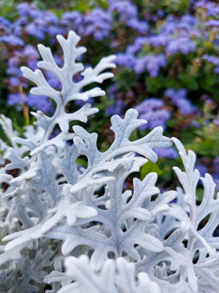 Фотография автора Светлана Дунаева