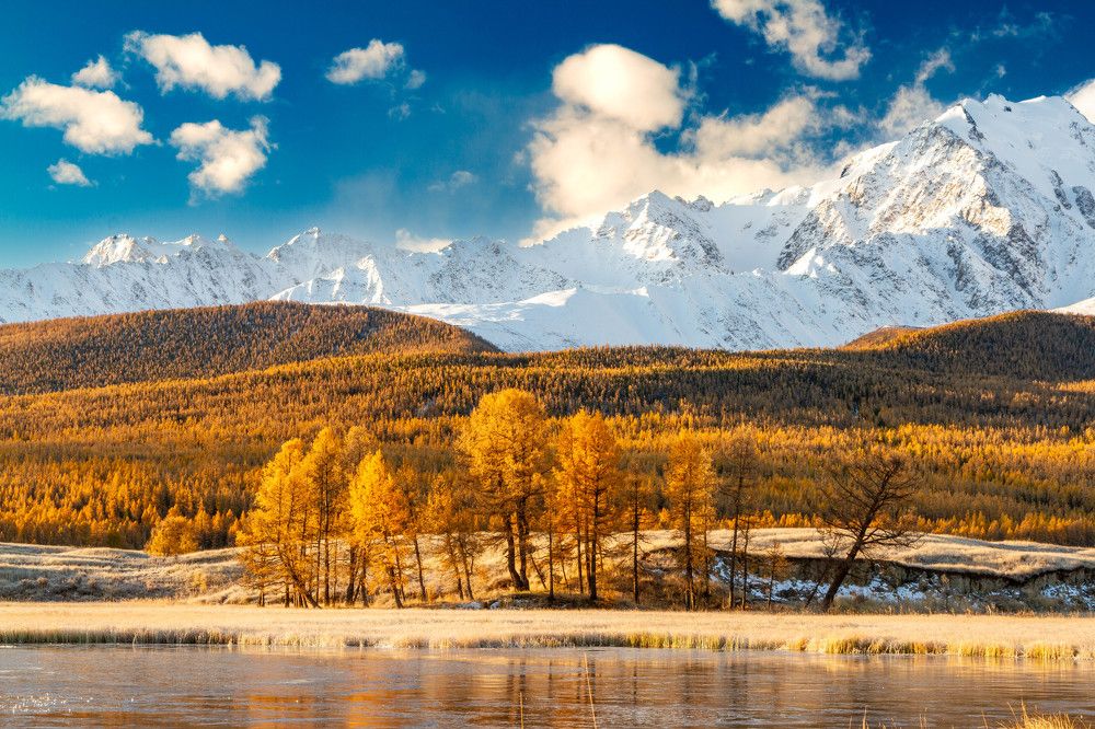 Photograph by Elena Levi