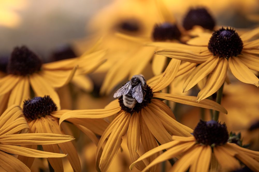 Photograph by Наталья Островцева