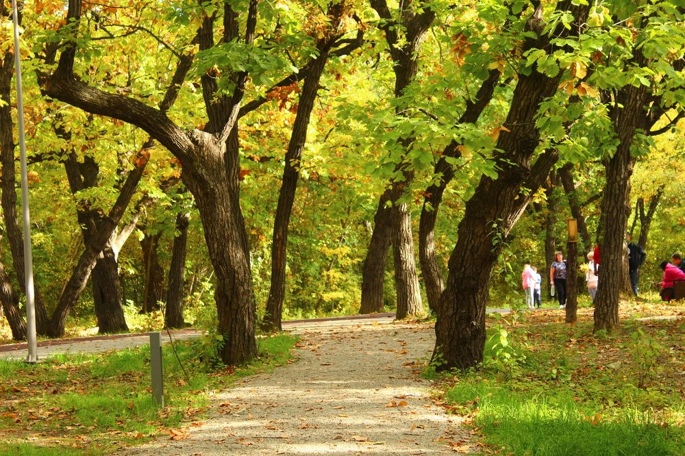 Photograph by Иван Крылов