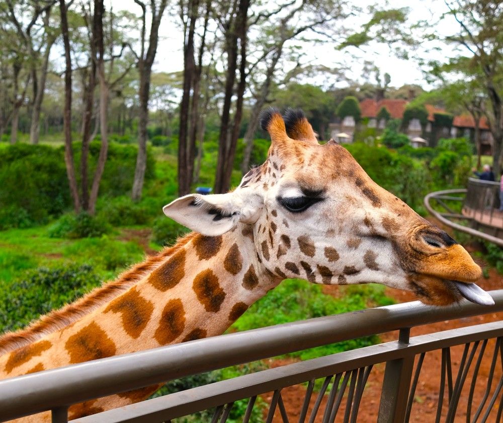 Photograph by Anna Yolshina