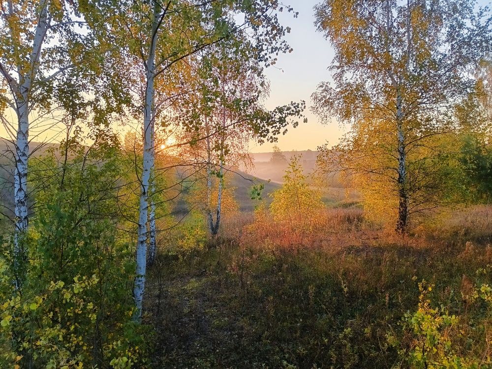 Photograph by Светлана Кондрашова