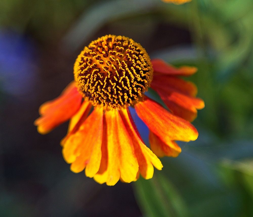 Photograph by Алексей Хазов