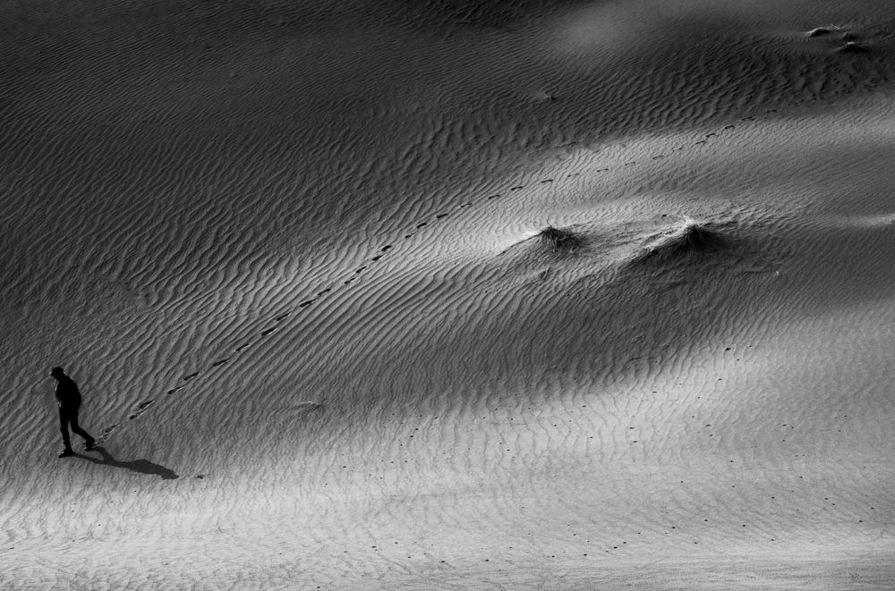 Photograph by Mahdi vagahri shorche