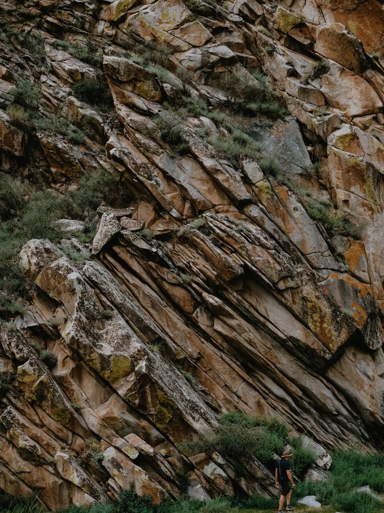 Photograph by Дарья Пысина