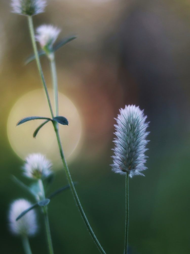 Photograph by Ирина Корабельникова