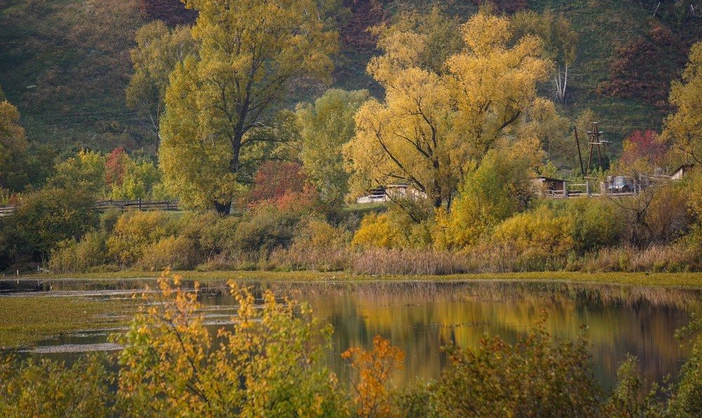 Photograph by Slesareva Nina