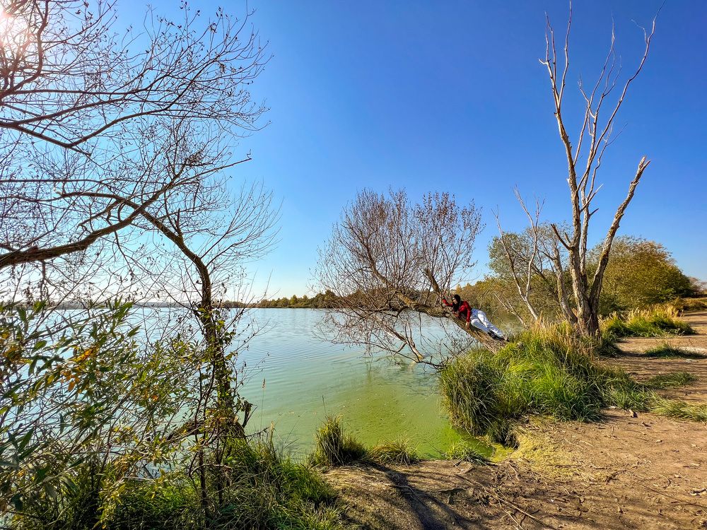 Photograph by Елена Сиушова