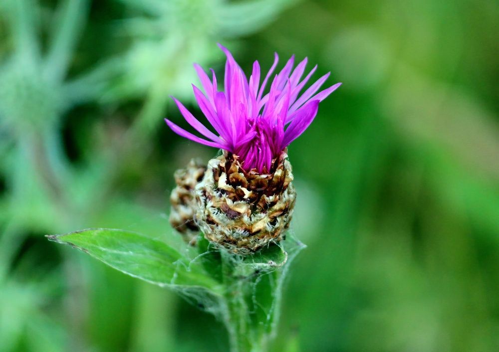 Photograph by Глеб Кузьминых