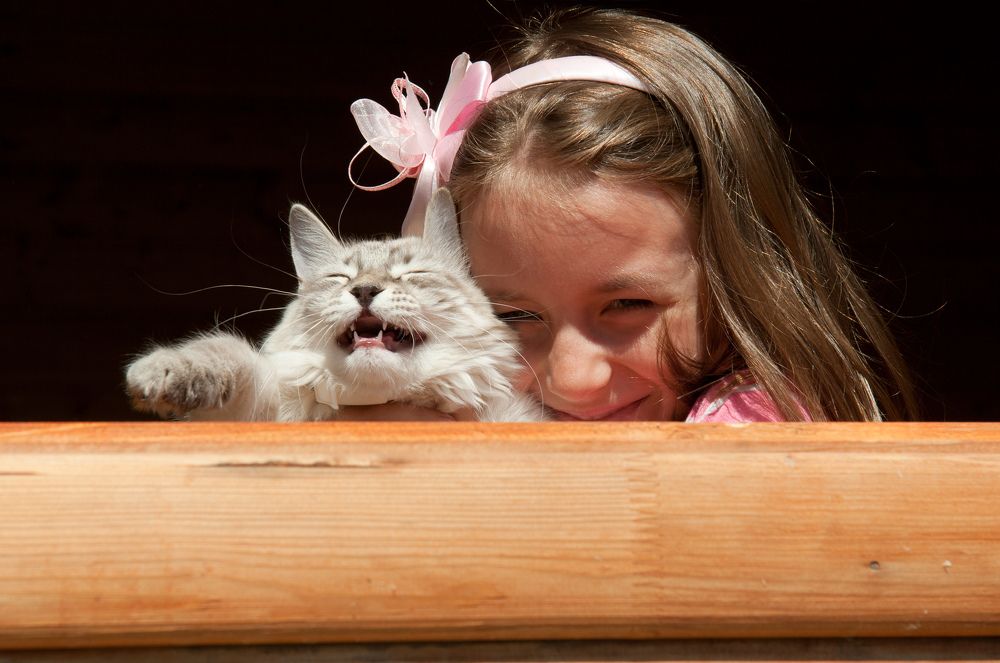 Любовь до гроба