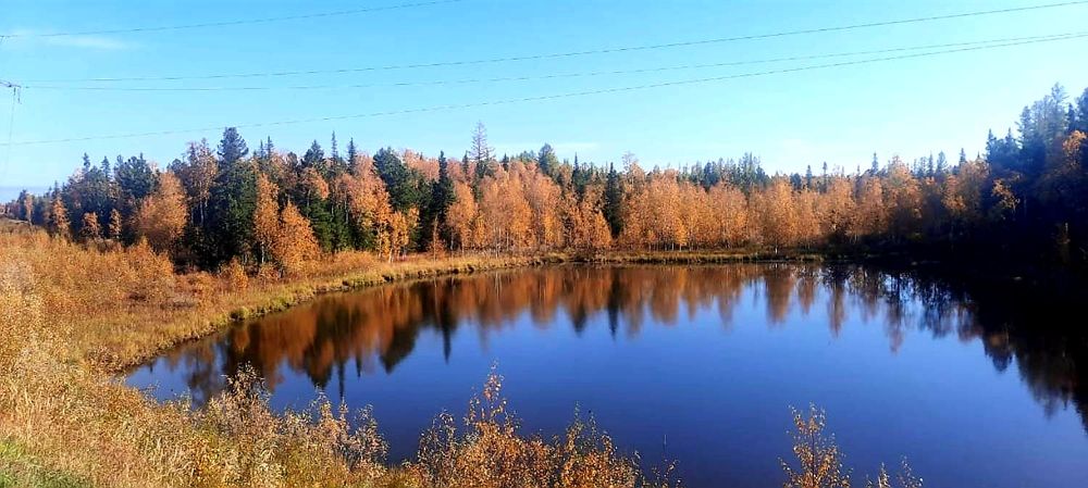 Photograph by Olga Александрова