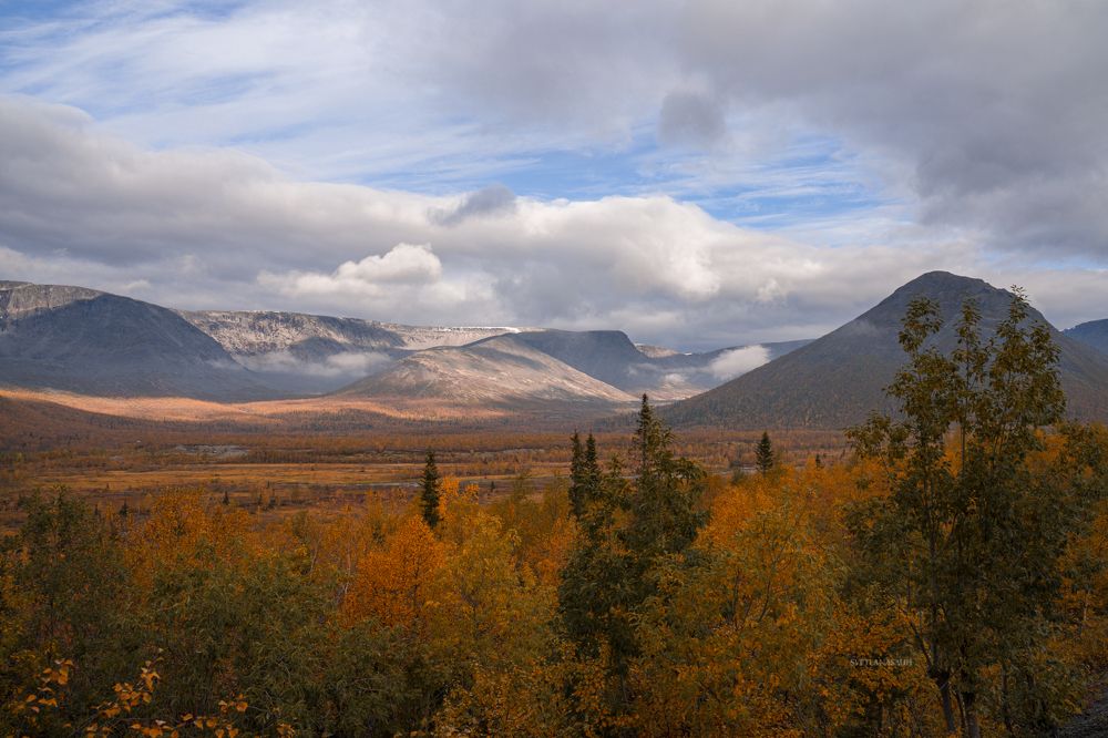 Photograph by Светлана