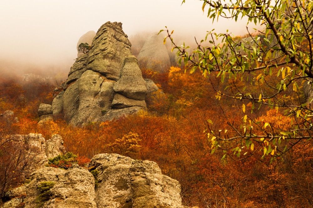 Photograph by Elena Levi