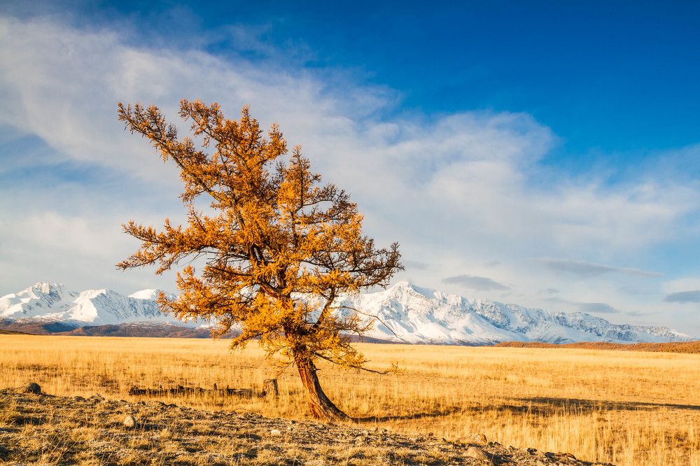 Photograph by Elena Levi