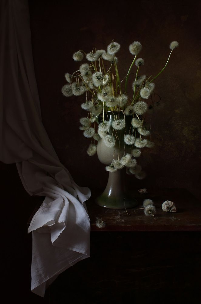 Photograph by Курочкина Диана