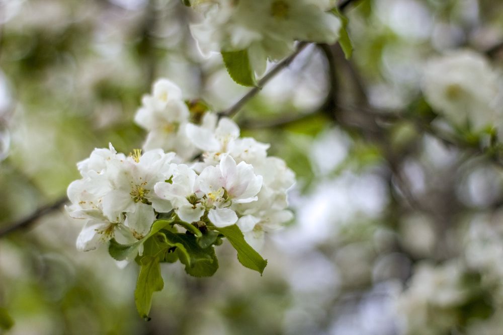 Photograph by Людмила Новосёлова