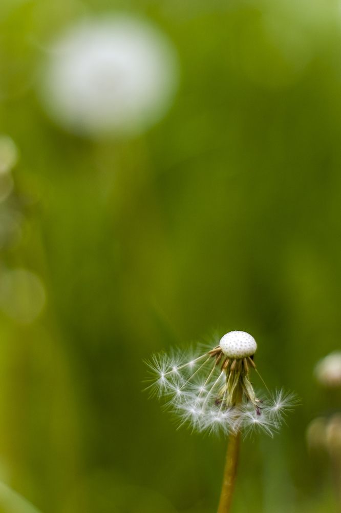 Photograph by Людмила Новосёлова