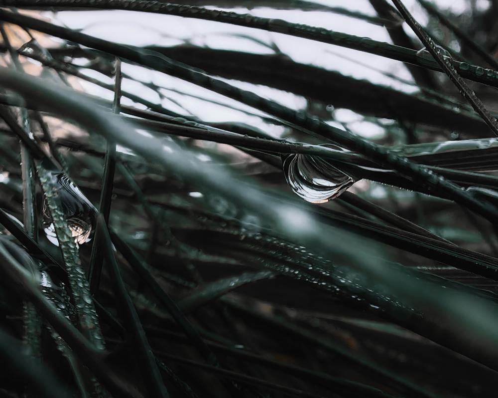 Photograph by Наталья