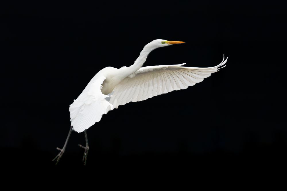 Photograph by Elena Levi